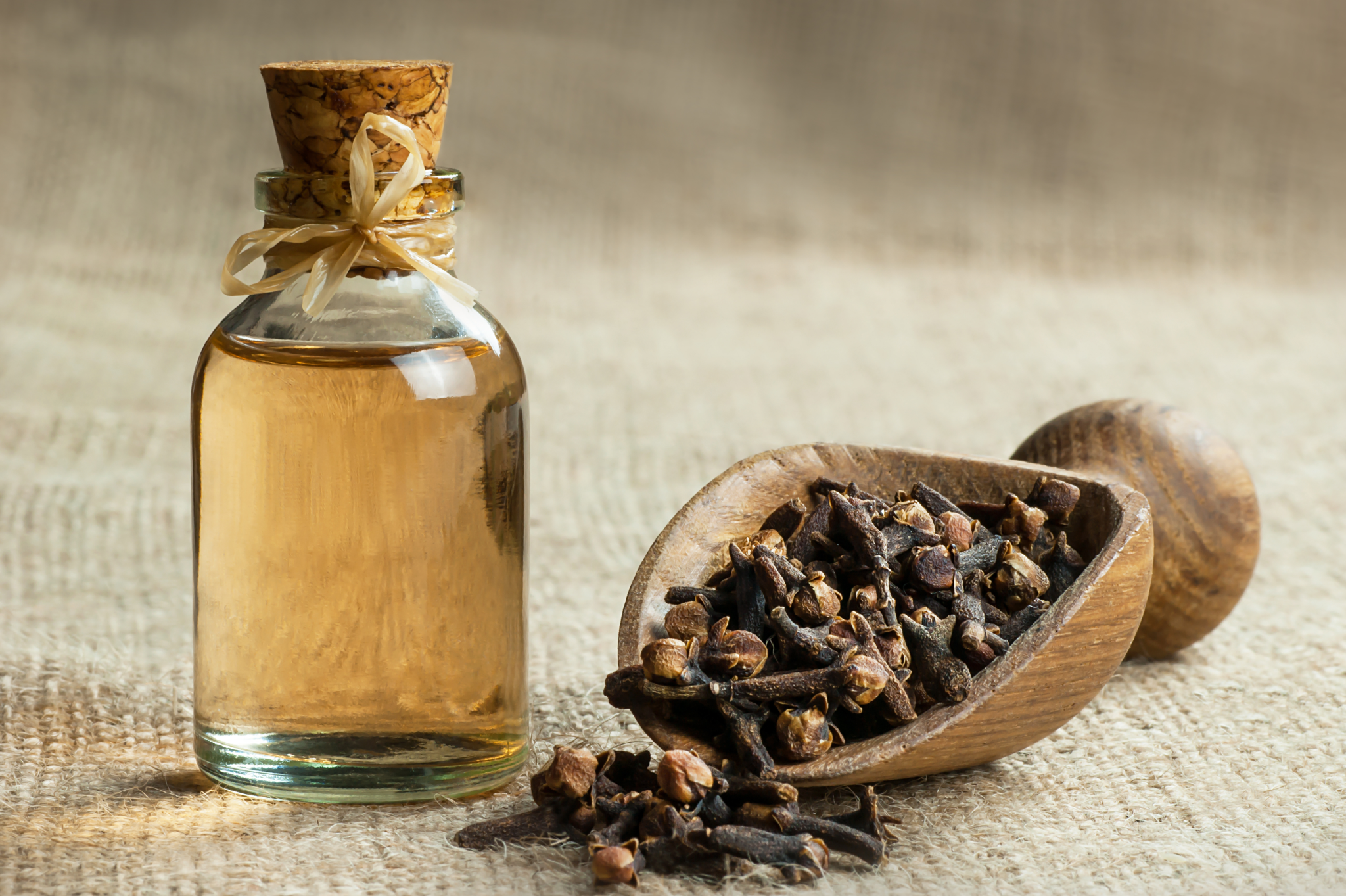 close-glass-bottle-clove-oil-cloves